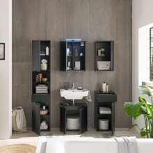 Badezimmerspiegelschrank >Spice< in Schwarz matt - 60x67x20 (BxHxT)