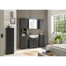 Badezimmerspiegelschrank >Spice< in Schwarz matt - 60x67x20 (BxHxT)