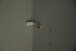 Falttürenschrank >Everly< in weiß - 250x216x58cm (BxHxT)