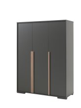 Jugendzimmer-Set >LONDON< in Anthrazit/Buche - 97x76,1x205cm (BxHxT)
