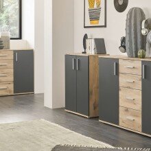 Kommode >BC 1040< in Grau matt - 60x84x35 (BxHxT)