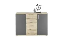 Kommode >BC 1040< in Grau matt - 120x84x35 (BxHxT)
