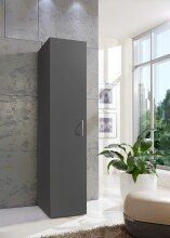 Mehrzweckschrank >MULTIRAUMKONZEP< in Graphit -...