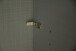 Schwebetürenschrank >MAGIC< in PLANKENEICHE NB + GRAPHIT - 300x216x65cm (BxHxT)