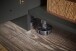 Waschmaschinenumbauschrank >LAUNDREEZY< in anthrazit - 67,5x162x67,5 (BxHxT)