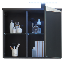 Badezimmerspiegelschrank >Grey< in Glas Grau - 69x60x25 (BxHxT)
