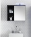 Badezimmerspiegelschrank >Grey< in Glas Grau - 69x60x25 (BxHxT)