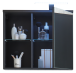 Badezimmerspiegelschrank >Grey< in Glas Grau - 69x60x25 (BxHxT)