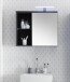 Badezimmerspiegelschrank >Grey< in Glas Grau - 69x60x25 (BxHxT)