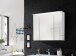 Badezimmerspiegelschrank >Splash< in Weiß matt aus Glas - 80x68x23cm (BxHxT)