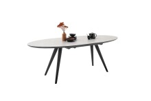 Esstisch >REDFORD< in hellgrau, schwarz matt lackiert - 200x76 (BxH)