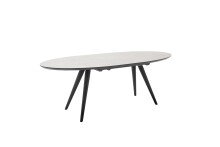 Esstisch >REDFORD< in hellgrau, schwarz matt lackiert - 200x76 (BxH)