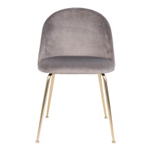 Polsterstuhl >Geneva< (2er-Set) in Grau, Velour - 51x78x52cm (BxHxT)