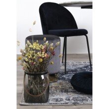 Polsterstuhl >Geneva< (2er-Set) in Blau, Velour - 51x78x52cm (BxHxT)