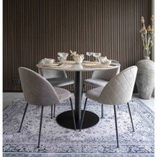 Polsterstuhl >Geneva< (2er-Set) in Grau, Velour - 51x78x52cm (BxHxT)