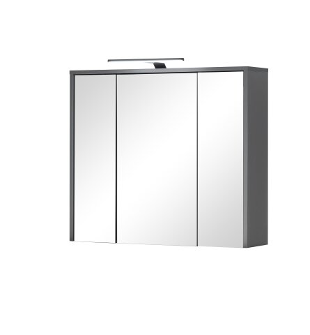 LEONE Spiegelschrank Bad mit LED-Beleuchtung in Graphit - Badezimmerspiegel Schrank mit viel Stauraum - 80 x 70 x 20 cm (B/H/T)