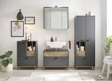 LEONE Spiegelschrank Bad mit LED-Beleuchtung in Graphit - Badezimmerspiegel Schrank mit viel Stauraum - 80 x 70 x 20 cm (B/H/T)