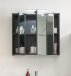 LEONE Spiegelschrank Bad mit LED-Beleuchtung in Graphit - Badezimmerspiegel Schrank mit viel Stauraum - 80 x 70 x 20 cm (B/H/T)