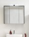 LEONE Spiegelschrank Bad mit LED-Beleuchtung in Graphit - Badezimmerspiegel Schrank mit viel Stauraum - 80 x 70 x 20 cm (B/H/T)