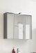 LEONE Spiegelschrank Bad mit LED-Beleuchtung in Graphit - Badezimmerspiegel Schrank mit viel Stauraum - 80 x 70 x 20 cm (B/H/T)