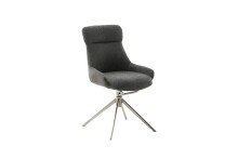 Schalenstuhl >PELION< (2-er Set) in Anthrazit,...