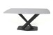 Esstisch >9250-20< in grau matt, Keramik - 160x74x89cm (BxHxT)