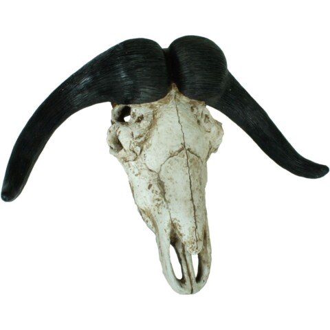 Dekogeweih >Büffel< in natur aus Polyresin - 21x66x49cm (LxBxH)
