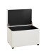Sitztruhe >52324< in weiß - 58x42x39cm (BxHxT)