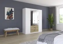 Drehtürenschrank >Davoa< in alpinweiß /...