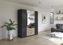 Drehtürenschrank >Davoa< in grau metallic /...