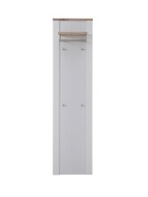 Garderobenpaneel >Dijon< in Ashgrey Dekor, MDF, Spannplatte - 48x188x30 (BxHxT)