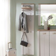 Garderobenpaneel >Dijon< in Ashgrey Dekor, MDF, Spannplatte - 48x188x30 (BxHxT)