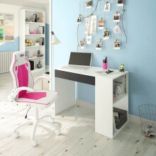 Computertisch >Master< in Artik-Weiß/Anthrazit-Grau - 101x73x50 (BxHxT)