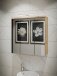 Badezimmerspiegelschrank >Veris < in Artisan Eiche/ Salbei - 68,6x68,1x20cm B/H/T