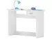 Schreibtisch >Kid< - 100,6x76,5x50,1cm (BxHxT)