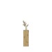 Garderoben-Set >Projekt X< in Artisan Eiche - 91x99x34cm (BxHxT)
