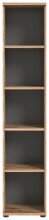 Regal >Mason< in Nox Oak / Basalt Grau - 40x199x37cm (BxHxT)