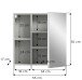 Badezimmerspiegelschrank >Copa< in Hellgrau - 55x55x17cm (BxHxT)