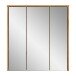 Badezimmerspiegelschrank >Zeno< in Evoke Oak, Spannplatte/MDF - 64x68x20 (BxHxT)