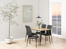 Esszimmerstuhl >Demina< (4er-Set) in schwarz - 43,5x92x53 (BxHxT)