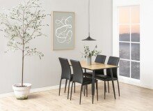 Esszimmerstuhl >Demina< (4er-Set) in schwarz - 43,5x92x53 (BxHxT)