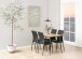 Esszimmerstuhl >Demina< (4er-Set) in schwarz - 43,5x92x53 (BxHxT)