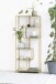 Standregal >Seaford< in schwarz, gold, MDF, Stahl - 77x185x35cm (BxHxT)