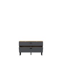 TV-Schrank >LEOKADIA< in Artisan Eiche / grau - 95,4x57,7x41,3cm (B/H/T)