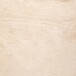 Couchtisch >Prunus< in Beige, Travertin - 46,4x80cm (HxD)
