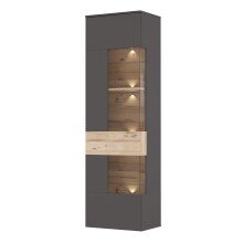 Vitrine >COMO< in Uni Wolfram Grau / Planked Eiche Dekor inkl. Beleuchtung - 60,4x203,3x41,3cm (BxHxT)