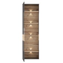 Vitrine >COMO< in Uni Wolfram Grau / Planked Eiche Dekor inkl. Beleuchtung - 60,4x203,3x41,3cm (BxHxT)