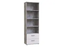 Bücherregal >LUPO< mit 2 Schubladen und 4...
