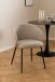 Armlehnstuhl >Eleanor< (2er-Set) in Beige - 56x80,5x54,5 (BxHxT)