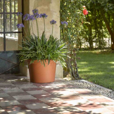 Pflanzkübel >Cilindro< in terracotta, Polypropylen - 35x50cm (HxD)